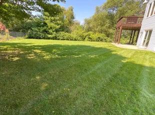 Antwan L.'s Lawn Service service result