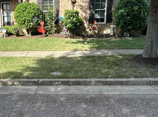 Bush Trimming by Terrance Sharp for Kimberly B. in Cordova, TN