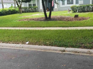 Helen V.'s Lawn Mowing service result