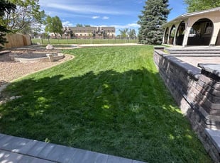 Charles S.'s Lawn Mowing service result