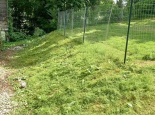 Weeding by Gary Simpson for Brittany S. in Atlanta, GA