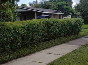 Bush Trimming by Willie Carmichael Jr for Zoe F. in Orlando, FL