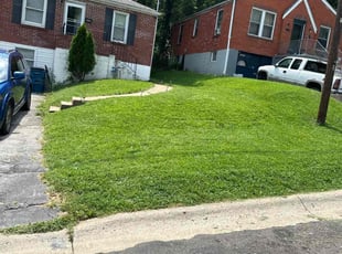 FRED H.'s Lawn Maintenance service result