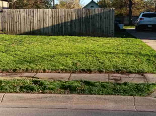 Joseph S.'s Grass Cutting service result