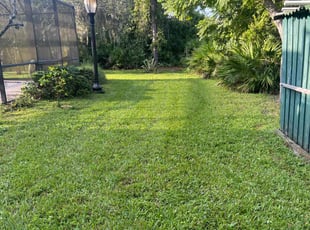Teresa L.'s Lawn Care service result