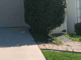 Bush Trimming by Terrence Johnson for Brittany G. in Jacksonville, FL