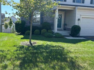 Blair D.'s Lawn Care service result