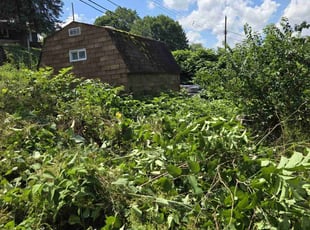 Weeding by Michael Anthony for Dean Y. in Carnegie, PA