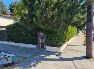Bush Trimming by Jose Martinez for Bo H. in Los Angeles, CA