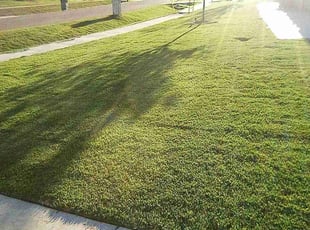 Vonetta W.'s Lawn Service service result