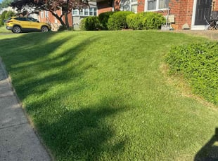 David S.'s Lawn Service service result