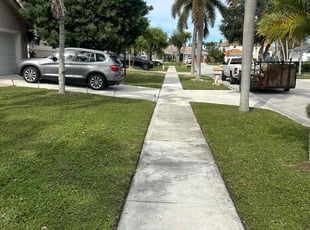 Lisa T.'s Lawn Mowing Service service result