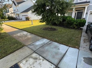 patricia c.'s Lawn Service service result