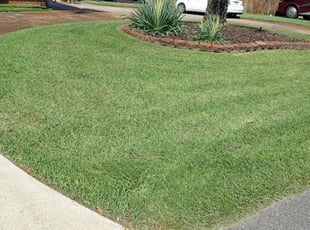 Penelope R.'s Lawn Care service result