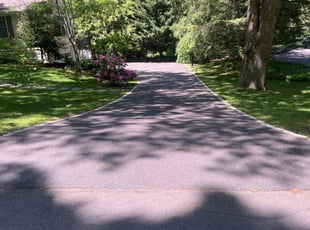 Carole U.'s Lawn Mowing Service service result