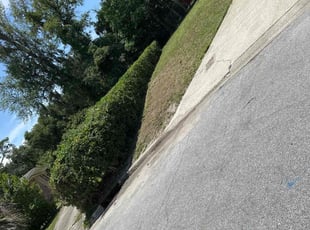 Bush Trimming by Steven Newman for Ronald M. in Orange Park, FL
