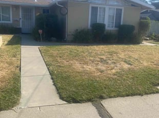 Bush Trimming by Michael Leftridge for Frederick S. in Concord, CA