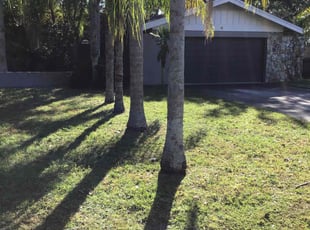 Ayla B.'s Yard Cutting service result