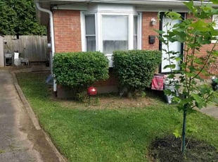 Bush Trimming by Jaden Benn for Cecelia B. in Louisville, KY