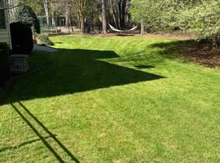 Brenda M.'s Lawn Mowing Service service result