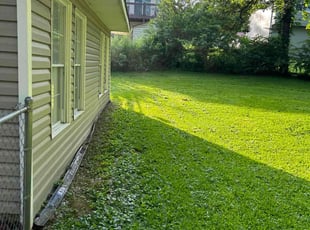 Tabitha B.'s Lawn Maintenance service result