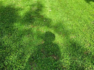 Mary M.'s Lawn Maintenance service result