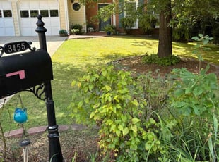 CheβWon B.'s Lawn Service service result