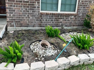 Weeding by Edwin Fernandez for Jasmine C. in Katy, TX