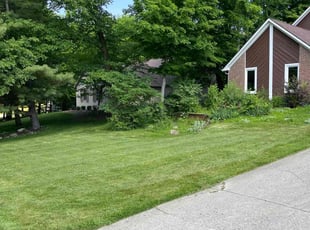 Catherine S.'s Lawn Maintenance service result