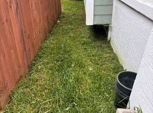 Khoi L.'s Lawn Mowing Service service result