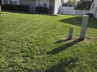 Brian D.'s Grass Cutting service result