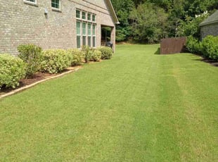 Josh B.'s Lawn Maintenance service result