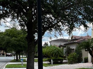 Jason H.'s Lawn Care service result