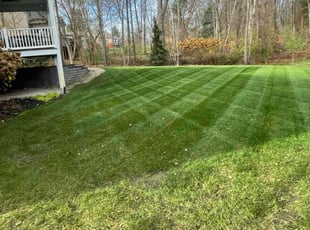 Pat A.'s Lawn Mowing service result