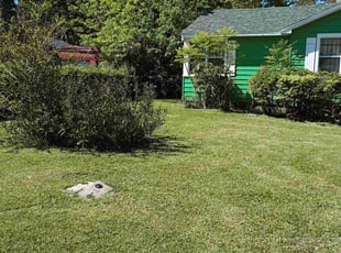 Earl M.'s Lawn Mowing service result