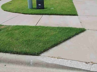 Jill R.'s Lawn Maintenance service result
