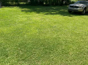 Stuart H.'s Grass Cutting service result