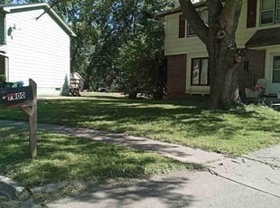 Saren E.'s Lawn Care service result