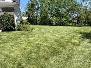Dorothy R.'s Grass Cutting service result