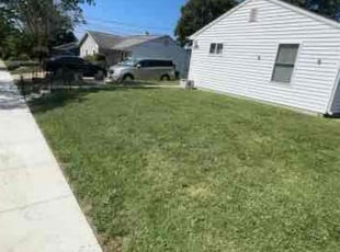 Wayne T.'s Lawn Mowing service result