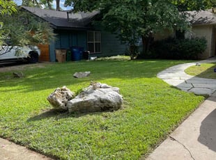 Jim F.'s Lawn Service service result