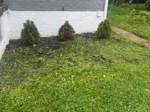 Weeding by Miranda Eggleston for Jeffrey C. in Cincinnati, OH