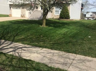 Abraham P.'s Yard Cutting service result