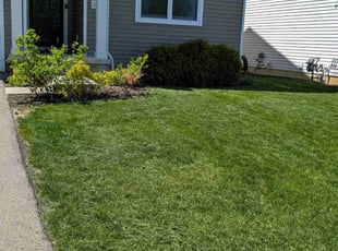 Curtis M.'s Lawn Care service result