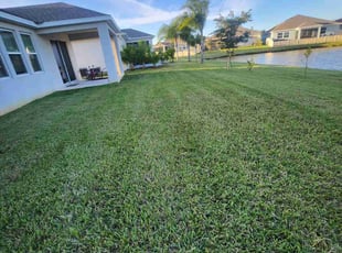 Natacha R.'s Lawn Maintenance service result