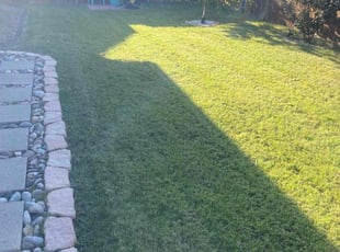 Matthew R.'s Lawn Mowing service result