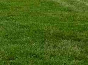 Jordan J.'s Yard Cutting service result