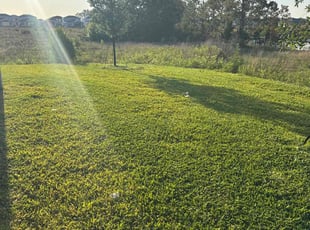 Dustin M.'s Lawn Mowing service result