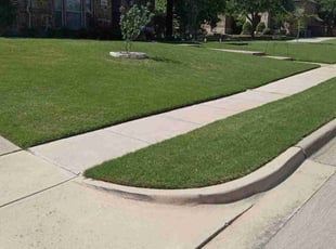 Holly S.'s Lawn Care service result