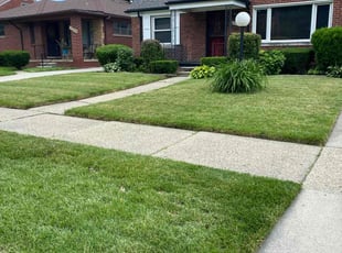 Constance R.'s Lawn Care service result